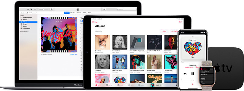 apple music library