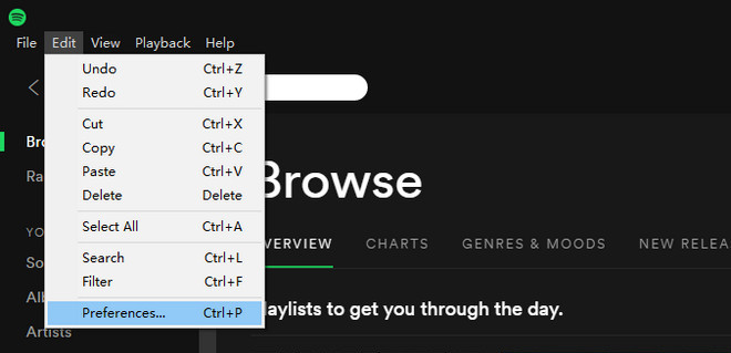 Select Preferences on Spotify